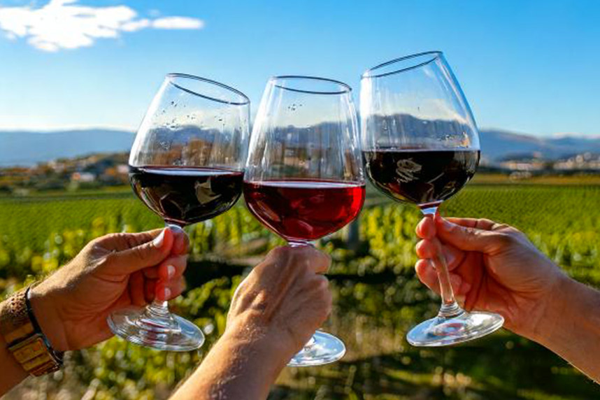 Montepulciano, Amarone und Chianti: Die Knige der Rotweine, die du nicht verpassen solltest